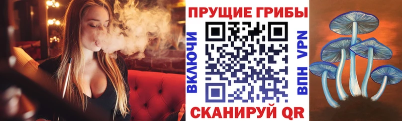 Галлюциногенные грибы GOLDEN TEACHER  мега   Сусуман 